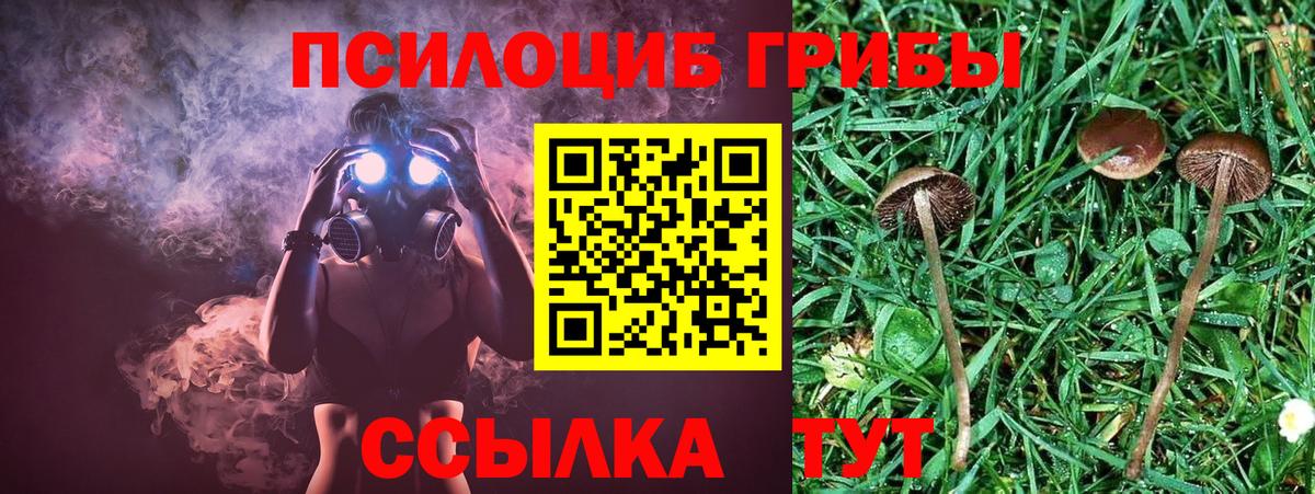 Галлюциногенные грибы Cubensis  Вход с VPN  наркотики  Галлюциногенные грибы мухоморы  Канаш 